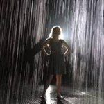 Michelle P - @janehoyahusker - Instagram