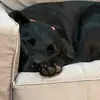 janehussar22 - @janehussar22 - TikTok
