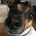 Jan Husted - Facebook