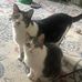 Jane Irving - Facebook