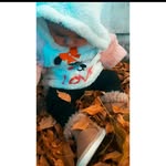 Jane_jacobi❤ - @zelenjanejacobi - Instagram