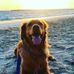 Mary Jane Jacobi - Facebook