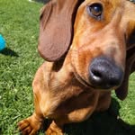 jane Jansen van Rensburg - @janejansenvanr - Instagram