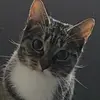 Janey Janssen - @janey.janssen3 - TikTok