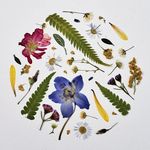 Jane Van Der Karr - @jane.vdk.art - Instagram