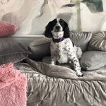 Jane Kearney - @janekearney2 - Instagram