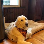 Jane Kenney - @jmk612 - Instagram
