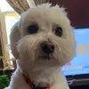 Janice Keough633 - @jewoodkeough - TikTok