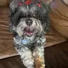 janekerley44 - @janekerley44 - TikTok