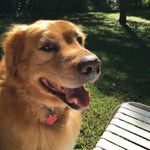 Jane Kessler Shaver - @curry2009 - Instagram