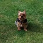 Jane Kidd - @jane.kidd.376 - Instagram