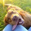 Janeen Kilgore - @janeen.kilgore - TikTok