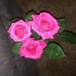 Jane Kilpatrick Price - @justmejanehere - Instagram