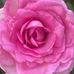 Jane Kincaid Photography - Facebook