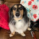 Jane Kirkpatrick - @janekirkpatrick - Instagram