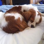 Jane Kirkpatrick - @janekirkpatrick.3 - Instagram