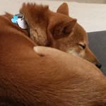 Jan Kleinman - @jank78 - Instagram