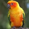 janeklingler - @janeklingler - TikTok