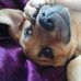 Jane Knecht - Facebook