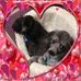 Jane Knoll - Facebook
