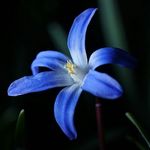 Jane Knoll - @jane.knoll.9026 - Instagram