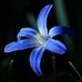 Jane Knoll - Facebook