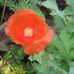 Jane Knoll Hilton - Facebook
