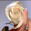 كوجه ر✨🌺 - @jane_kocher4 - TikTok