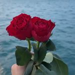 Jane kocher - @kocher8104 - Instagram