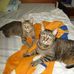 Jane Koehler - Facebook