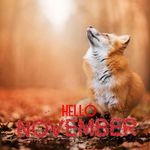 Jane Koehler Hatfield - @hattti - Instagram