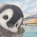 Jane Koh - Facebook