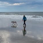 Jane Kohler - @janekohler_ - Instagram