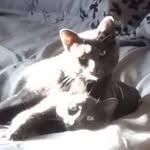 Jan Koontz Cooley - @koontzcooley - Instagram
