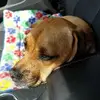 janekowalski892 - @janekowalski892 - TikTok