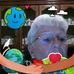 Jane Kreiger - Facebook