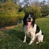 Jan Kriel - @jan.kriel - TikTok