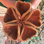 Jane Kruse - @jkruse - Instagram