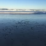 Jane Kruse - @kruse5360 - Instagram