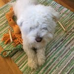 Jane Kruse Andersen - @andersenjanekruse - Instagram