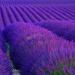 Jane Kruse Andersen - @janekruseandersen - Instagram