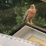 Jane Pleasant Kunkel - @kunkel.jane - Instagram
