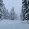 janekurz263 - @janekurz263 - TikTok