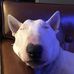 Jane Colburn Kuzma - Facebook