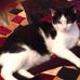 Jane Kuzma - Facebook