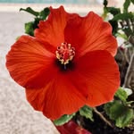 Jane Kyser - @janekyser - Instagram