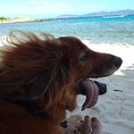 Jane Kyser - @twonotchrd - Instagram