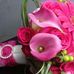 Jane Labelle - Facebook