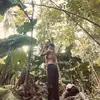 lairriejane - @lairriejane - TikTok