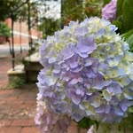 Jane Lambert - @janelambert401 - Instagram
